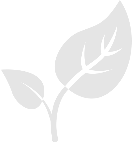 Plant leaf animation