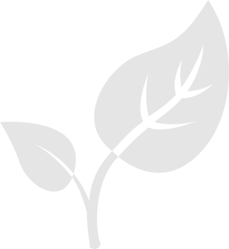 Plant leaf icon animation - Trees planted